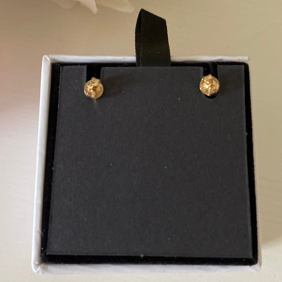 Pair Delicate Twig Leaf Earrings 9kt Solid Gold with 9kt Solid Gold Backings - Picture 6 of 6